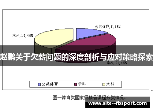 赵鹏关于欠薪问题的深度剖析与应对策略探索