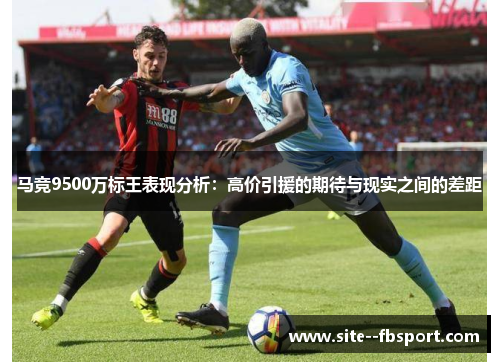 马竞9500万标王表现分析：高价引援的期待与现实之间的差距