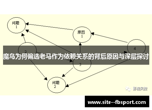魔鸟为何偏选老马作为依赖关系的背后原因与深层探讨