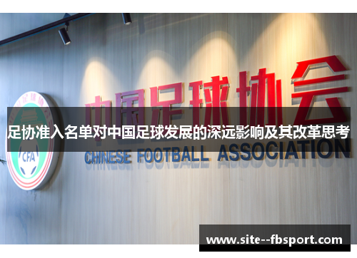 足协准入名单对中国足球发展的深远影响及其改革思考