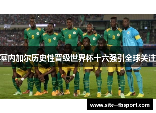 塞内加尔历史性晋级世界杯十六强引全球关注
